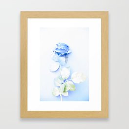 blue-rose-9ur-framed-prints