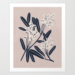 boho-botanica-prints